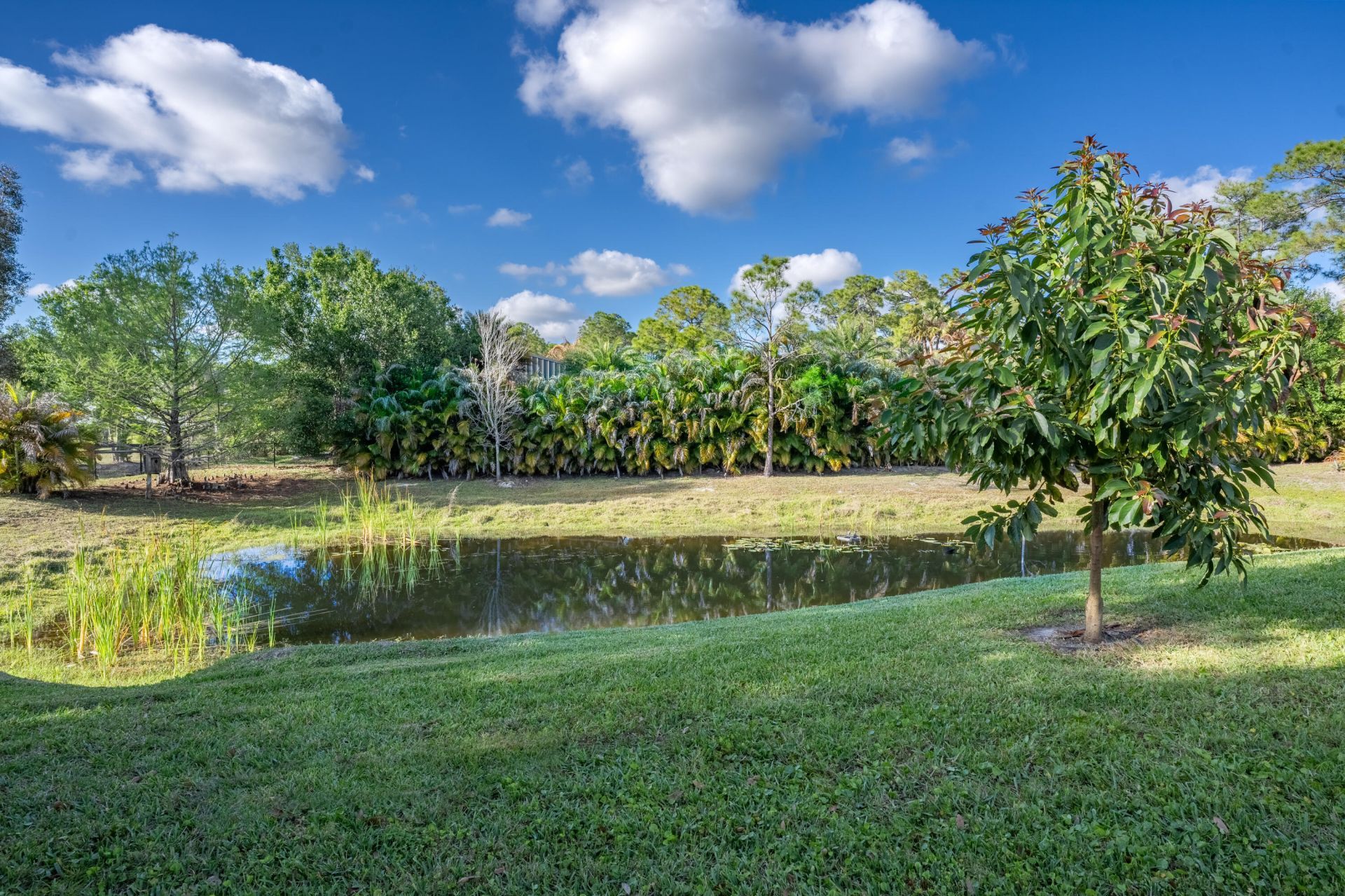 12275 185th Street N, Jupiter, FL 33478 Photo