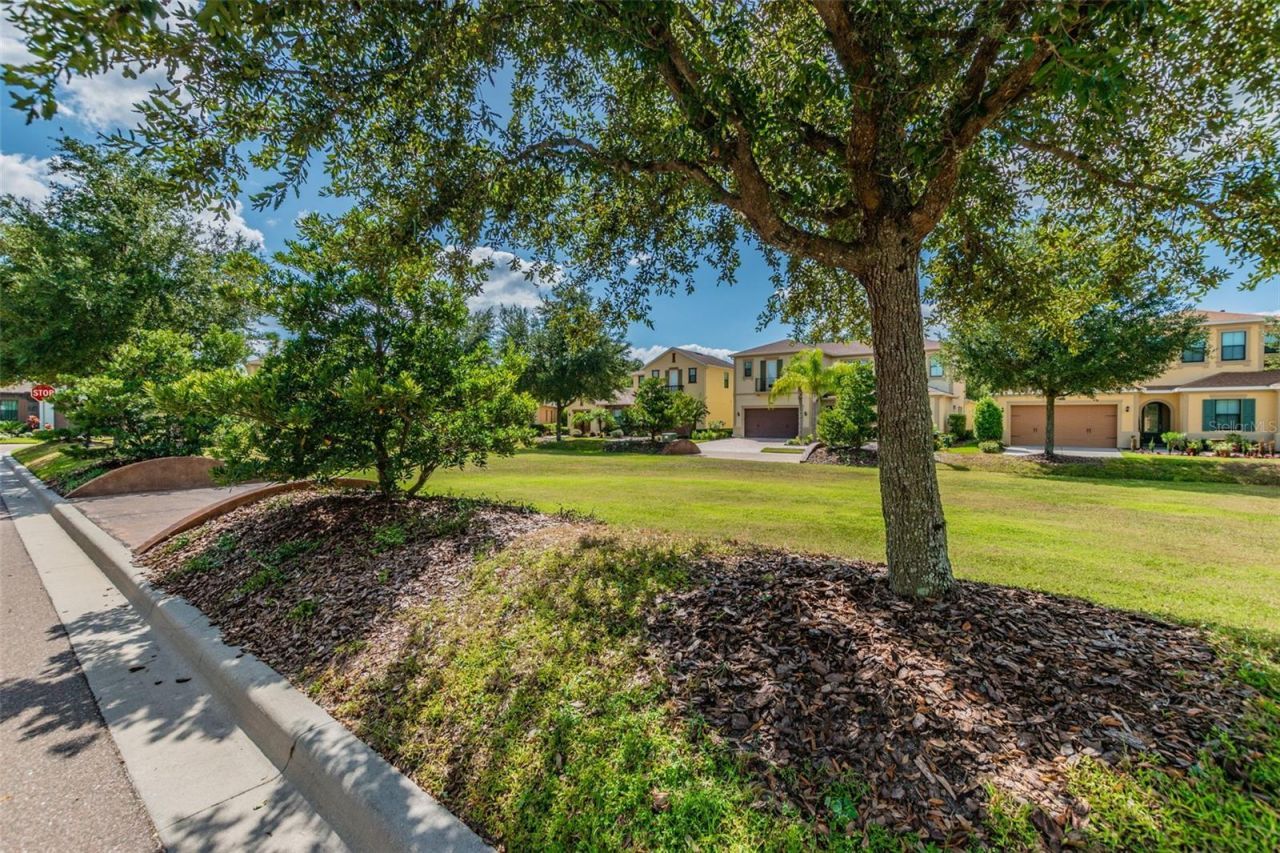 2601 Milford Berry Lane, Tampa, FL 33618 Photo