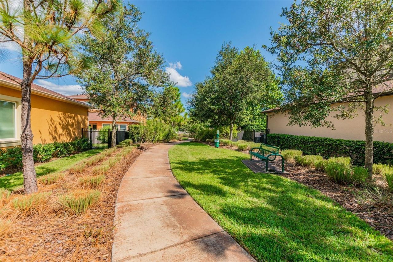 2601 Milford Berry Lane, Tampa, FL 33618 Photo