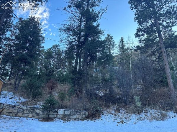 WildWood Road, Cascade, CO 80809