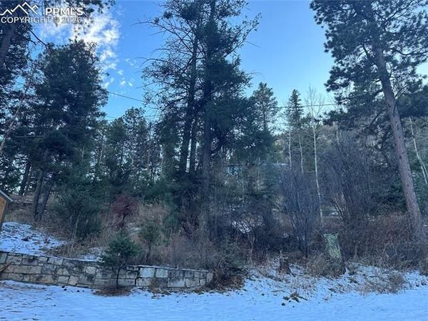 TBD WildWood Road, Cascade, CO 80809