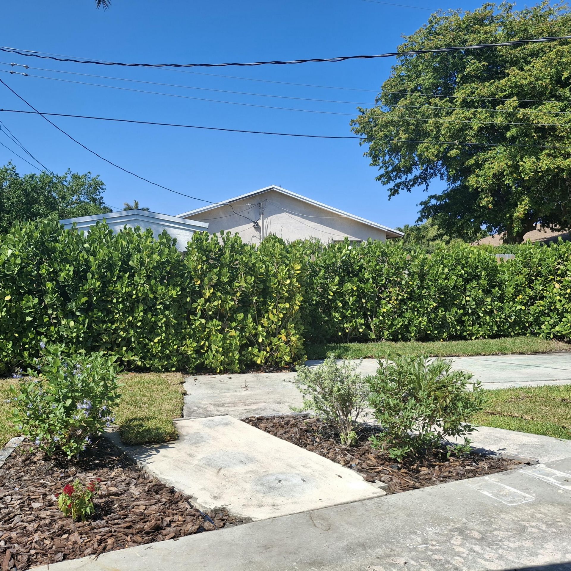 1097 Wilkinson Road, Unit B, Lake Worth, FL 33462 Photo