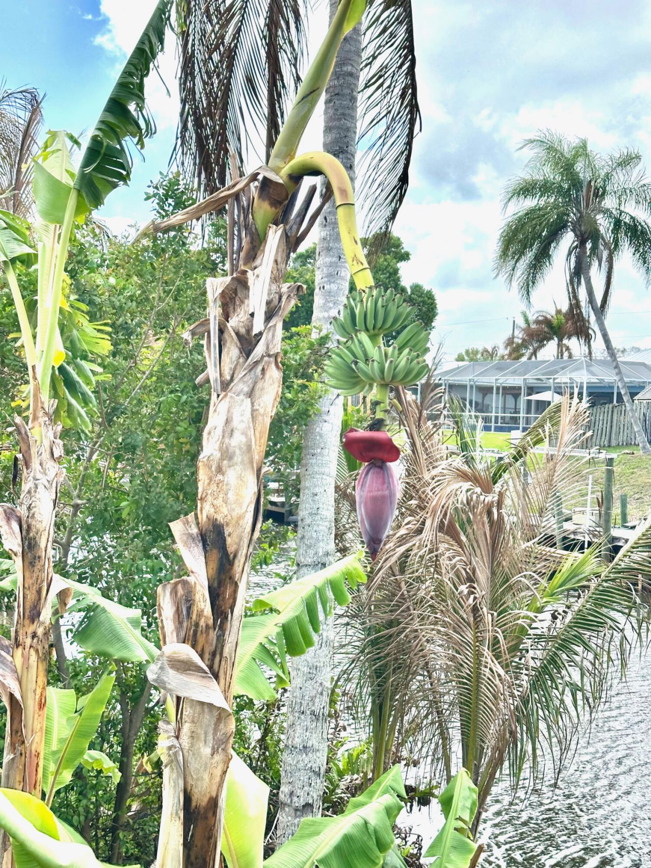 141 NE Sagamore Terrace, Port Saint Lucie, FL 34983 Photo