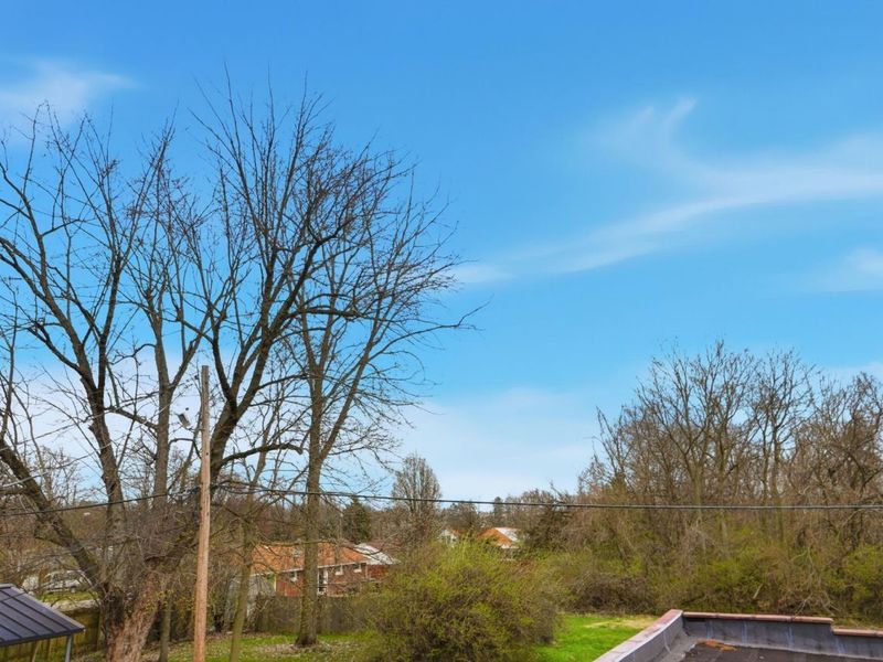 1806 N Limestone Street, Springfield, OH 45503 Photo 10