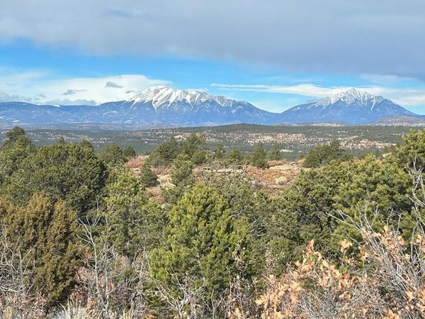 Primero Ranch Rd, Weston, CO 81091