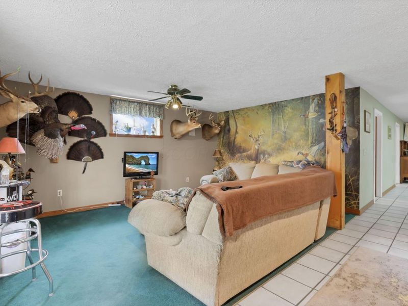 11138 York Road SW, Baltimore, OH 43105 Photo 42