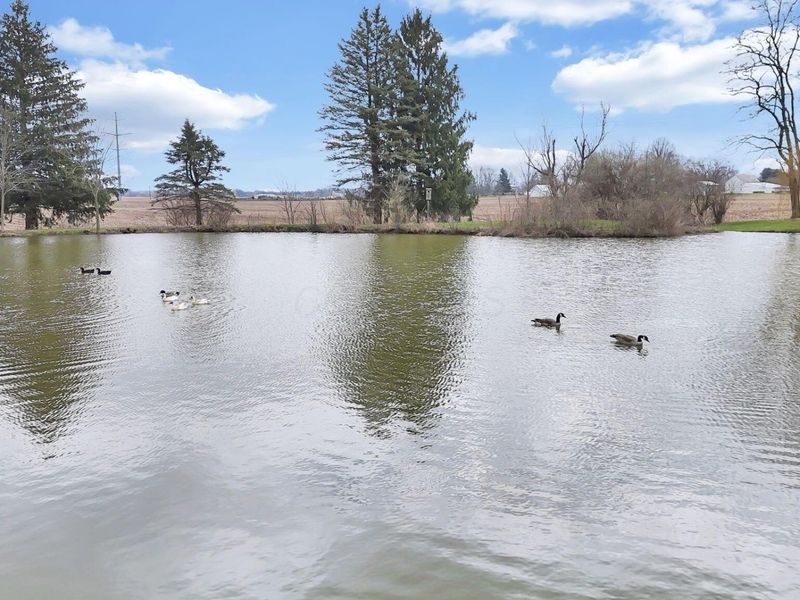 11138 York Road SW, Baltimore, OH 43105 Photo 5