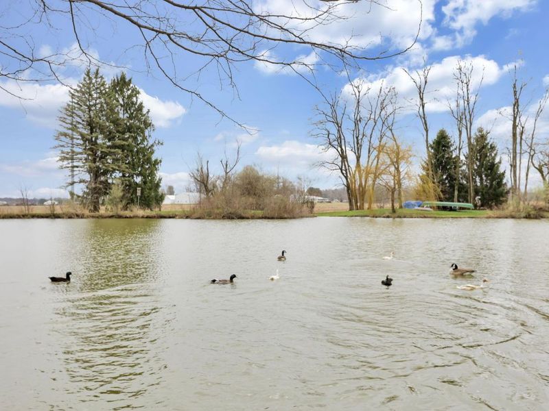 11138 York Road SW, Baltimore, OH 43105 Photo 71