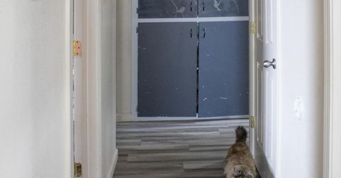 21112 Mt Evans Court, Reno, NV 89508 Photo