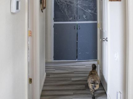 21112 Mt Evans Court, Reno, NV 89508 Photo