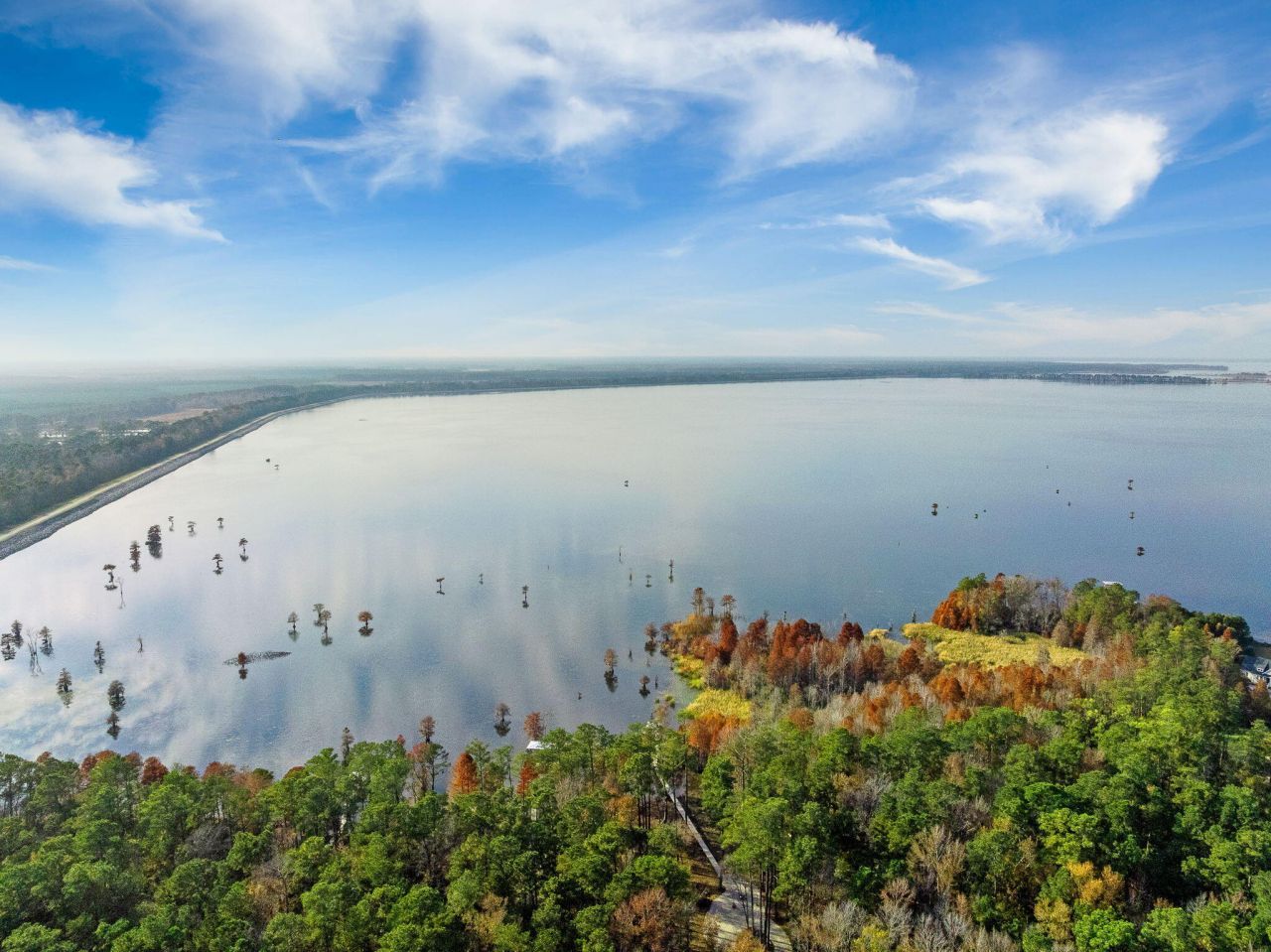 201 Summer Breeze Way Photo 10