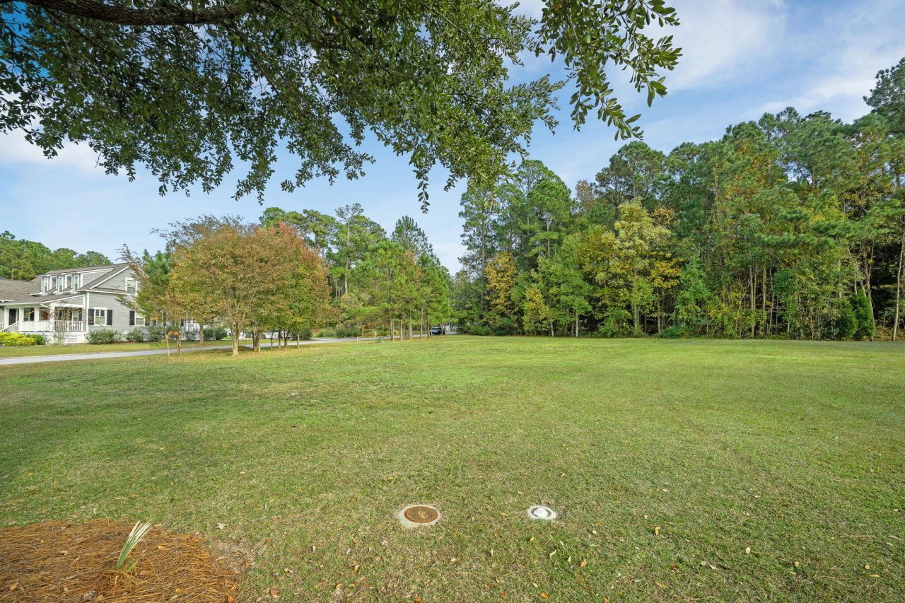 201 Summer Breeze Way Photo 15