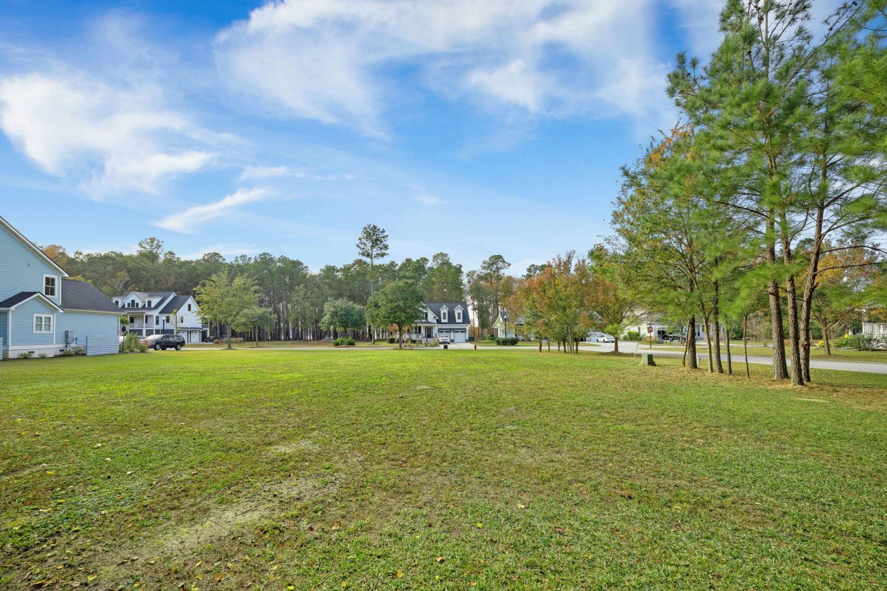 201 Summer Breeze Way Photo 19