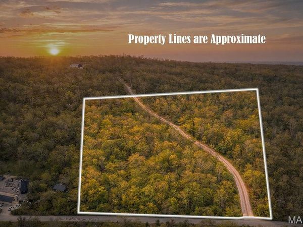 0 Buck Mountain Rd , Doe Run, MO 63637