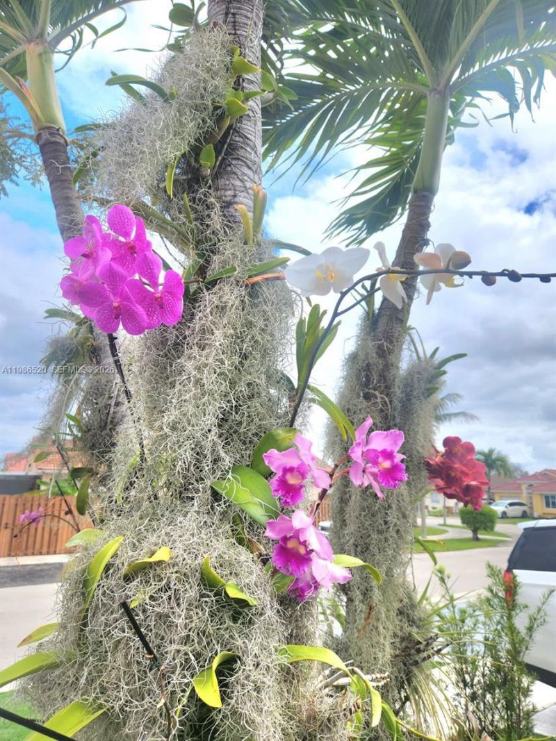 14330 SW 179th Ln, Miami, FL 33177 Photo