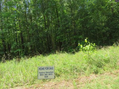 S/S Old Eastover Road, Unit 3, Eastover, SC 29044