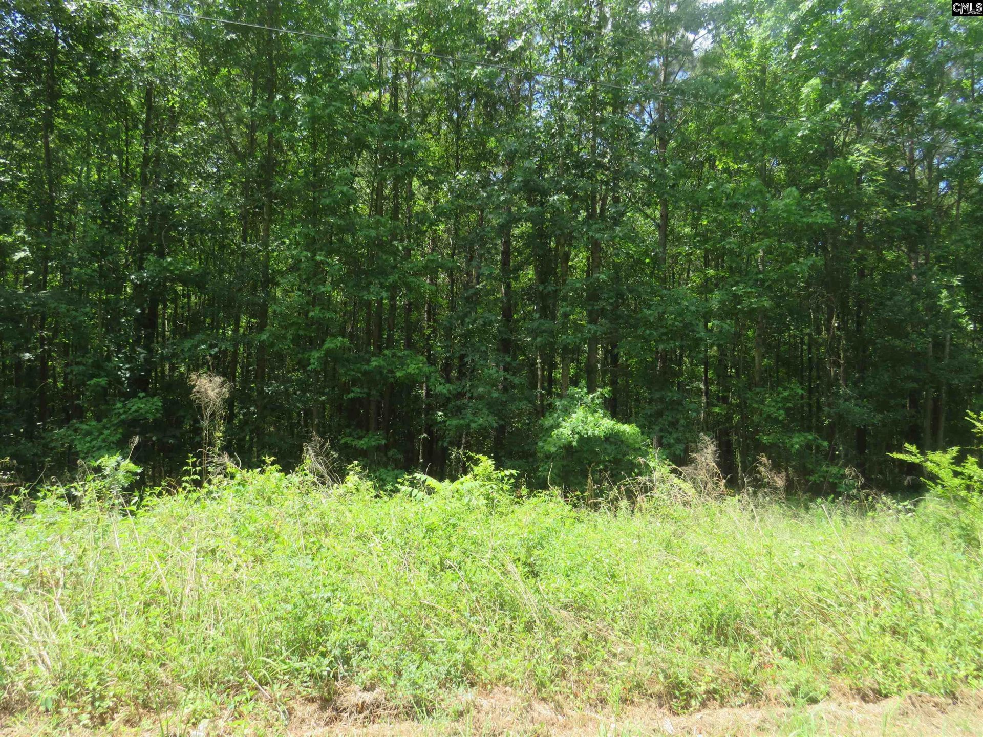 S/s Old Eastover Road Photo 13