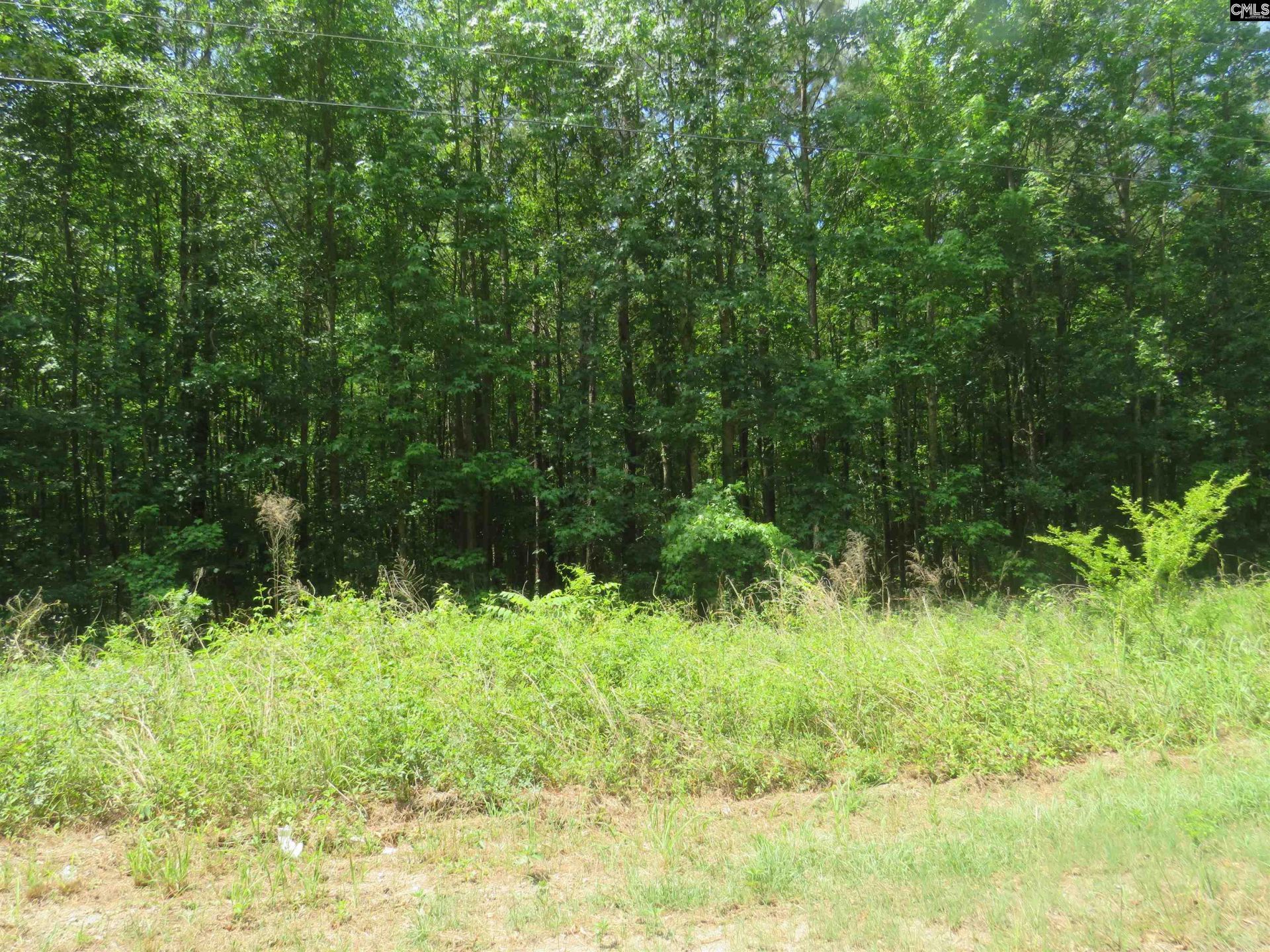 S/s Old Eastover Road Photo 24