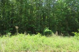 S/s Old Eastover Road photo 4
