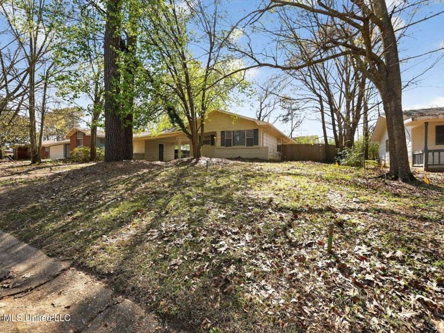 Property Image 4