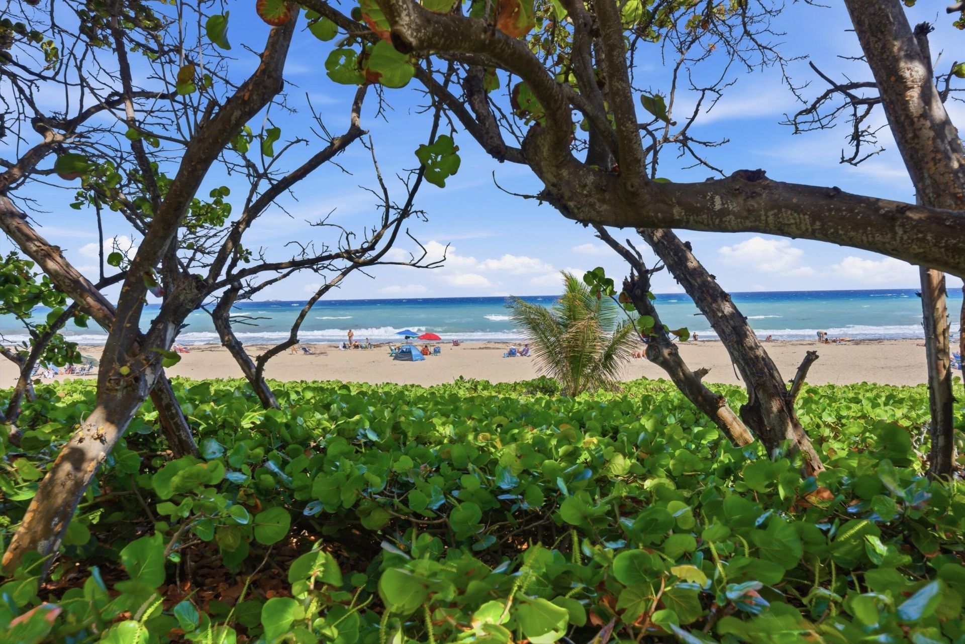 7 Belair Drive, Boynton Beach, FL 33435 Photo