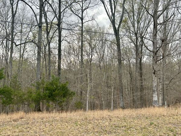 1020 Ed sanders Rd , Lynchburg, TN 37352