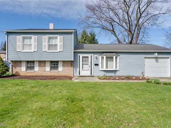 4234 Selkirk Avenue , Austintown, OH 44511
