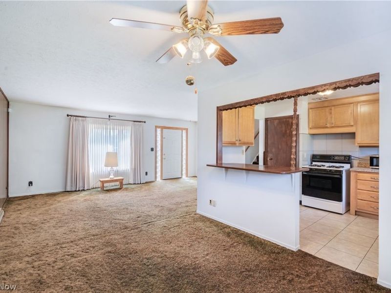 4234 Selkirk Avenue , Austintown, OH 44511 Photo 14