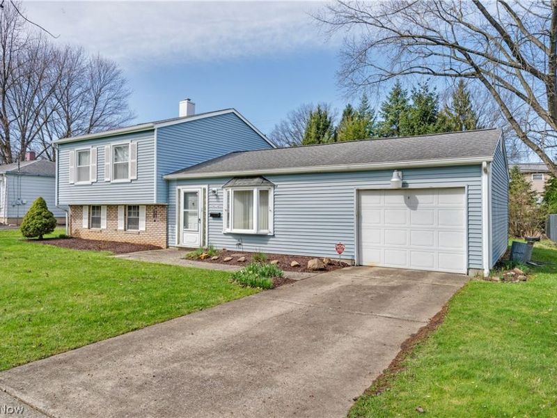 4234 Selkirk Avenue , Austintown, OH 44511 Photo 3