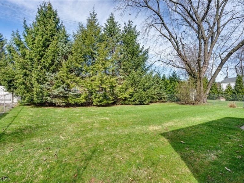 4234 Selkirk Avenue , Austintown, OH 44511 Photo 7