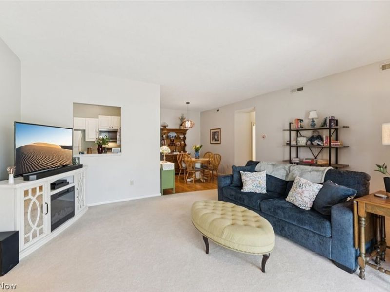 7137 Village Drive , Mentor, OH 44060 Photo 2