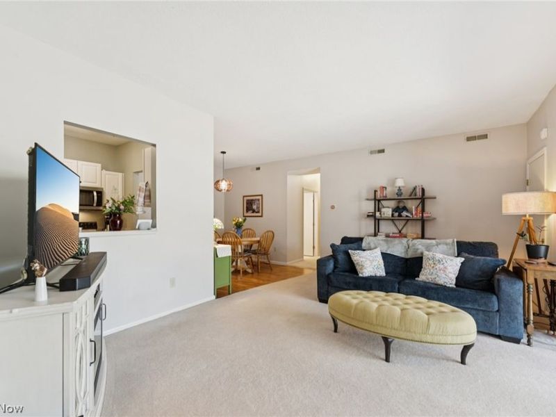 7137 Village Drive , Mentor, OH 44060 Photo 9