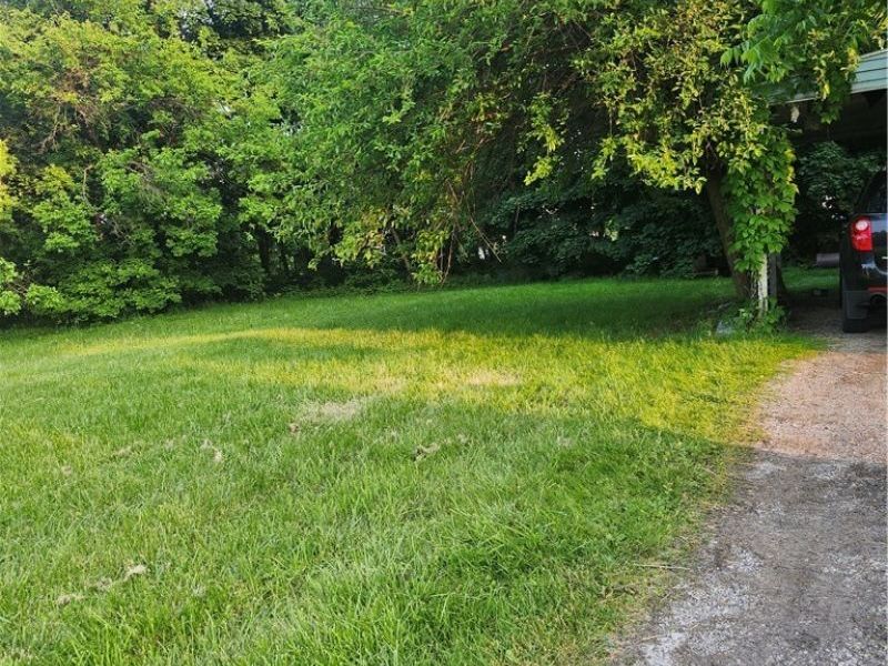 153 W Warren Avenue , Youngstown, OH 44507 Photo 4