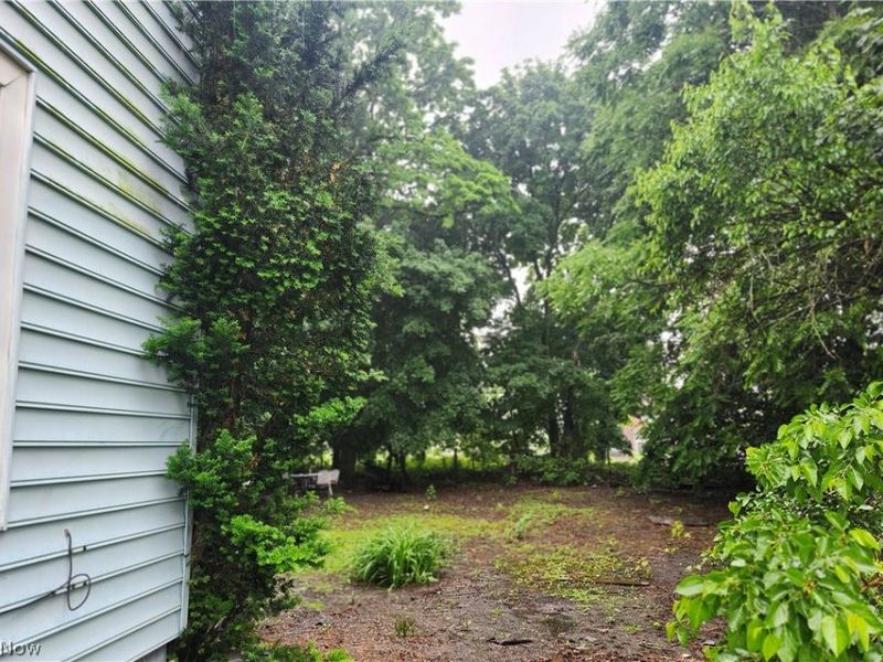 153 W Warren Avenue , Youngstown, OH 44507 Photo 6