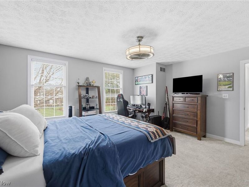 7438 Andover Way , Hudson, OH 44236 Photo 33