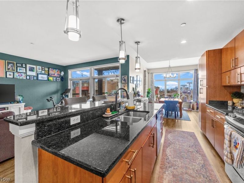 1403 Copper Trace , Unit 303, Cleveland Heights, OH 44118 Photo 10