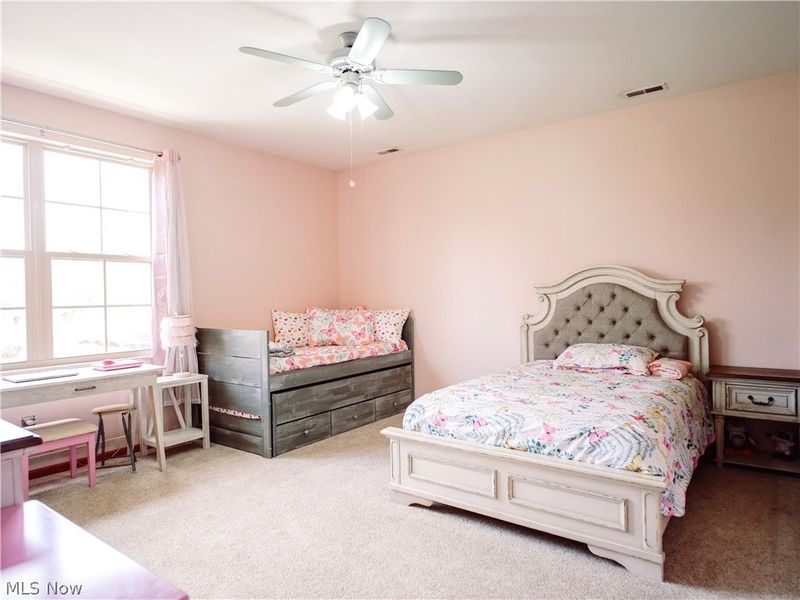 9151 Springfield Road , Unit 503, Poland, OH 44514 Photo 6