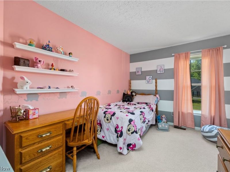 5297 Garfield Boulevard, Sheffield Village, OH 44054 Photo 23