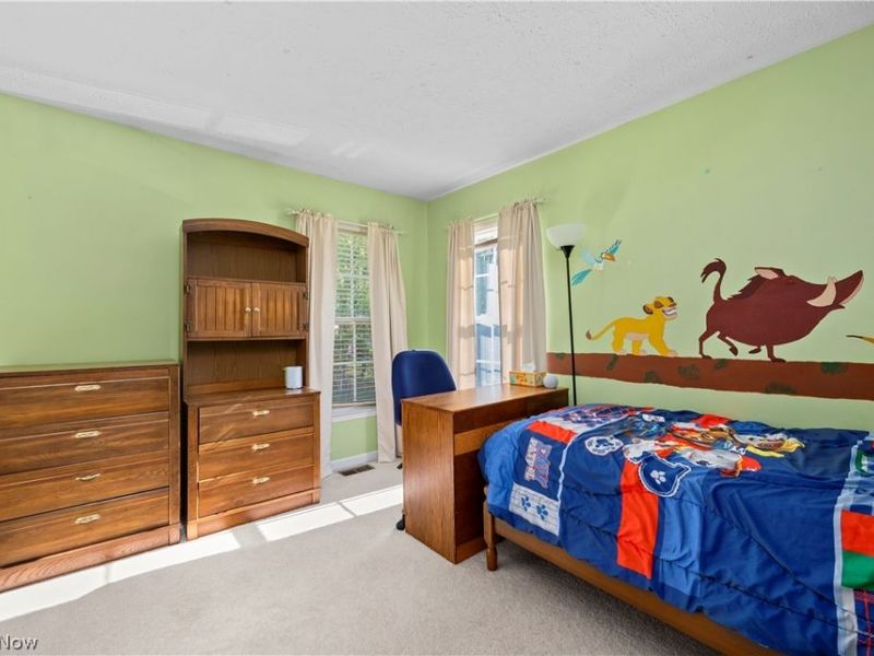 5297 Garfield Boulevard, Sheffield Village, OH 44054 Photo 28