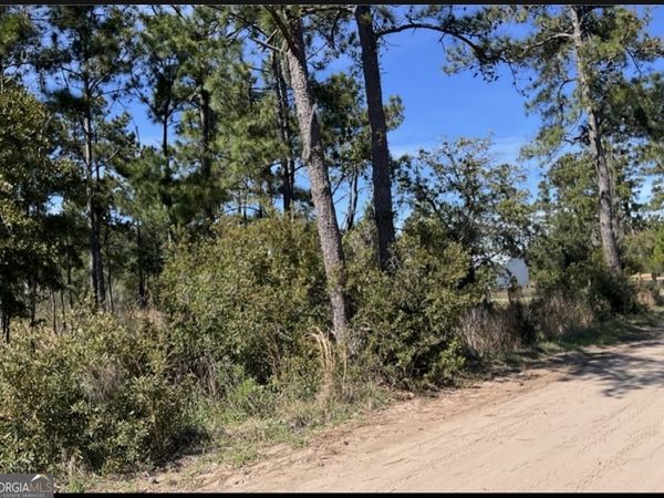 24 E West Autobahn Road, Sapelo Island, GA 31327
