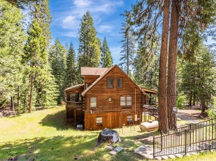 18008 N Mace Dr, Pioneer, CA 95666 Photo