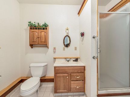 18008 N Mace Dr, Pioneer, CA 95666 Photo