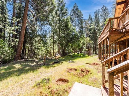 18008 N Mace Dr, Pioneer, CA 95666 Photo