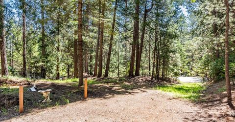 18008 N Mace Dr, Pioneer, CA 95666 Photo