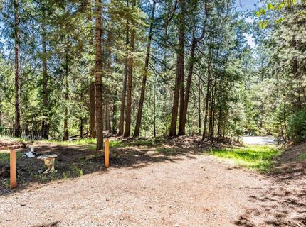 18008 N Mace Dr, Pioneer, CA 95666 Photo