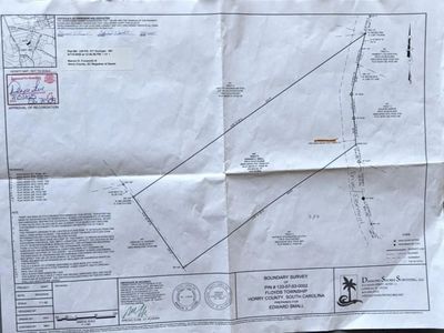 TBD Jarrott Dr. , Nichols, SC 29581