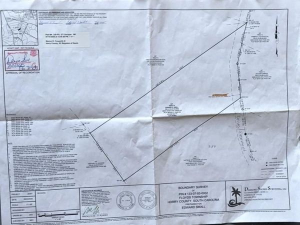 TBD Jarrott Dr. , Nichols, SC 29581