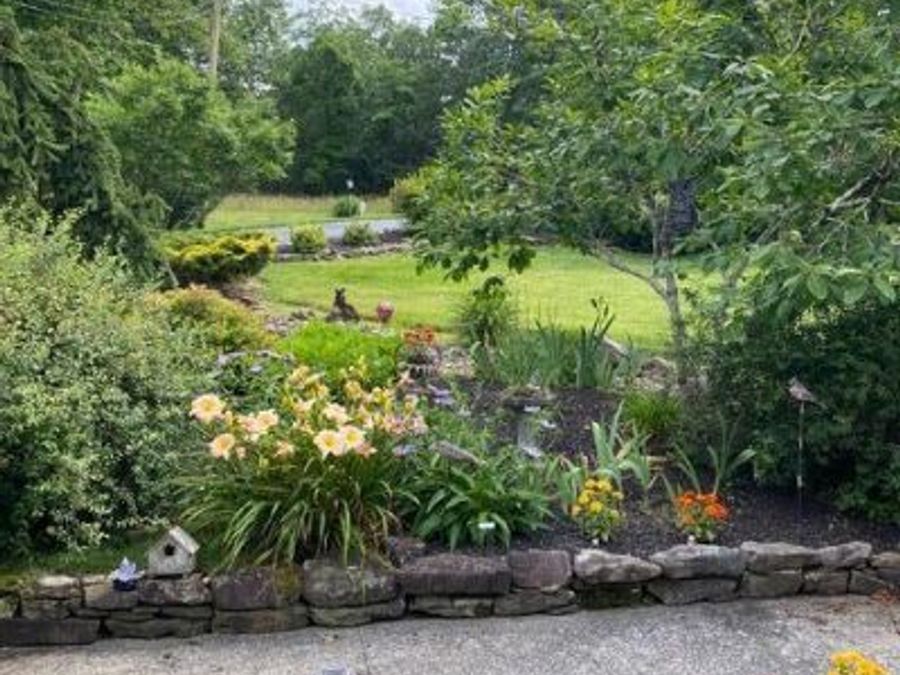 Property Image 44