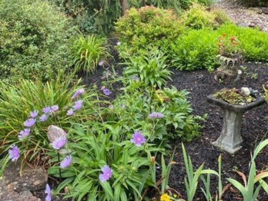 Property Image 46