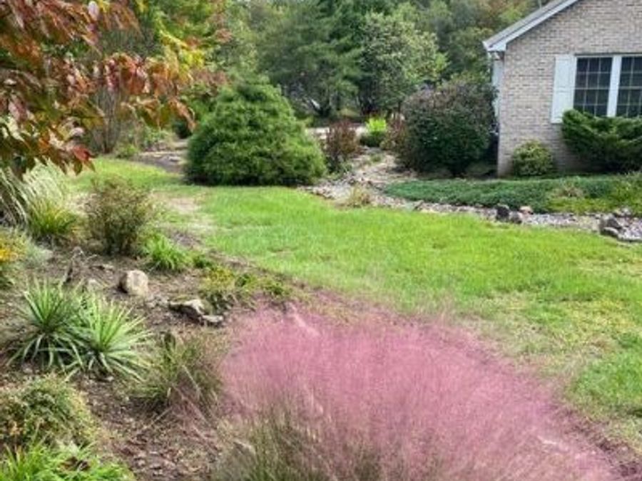 Property Image 48